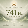 ADHD Support 741 Hz