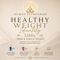 Healthy Weight Upgrade 528 Hz.